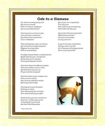 Ode to a Siamese Cat