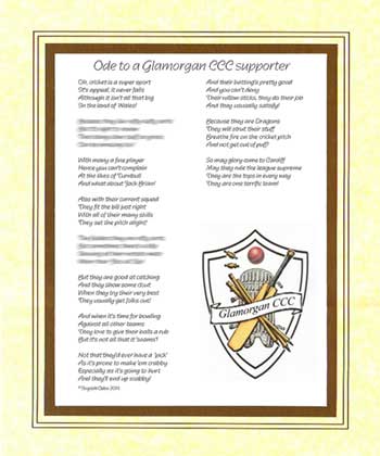 Ode to a Glamorgan Cricket Supporter