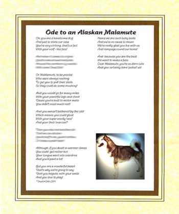 Ode to an Alaskan Malamute