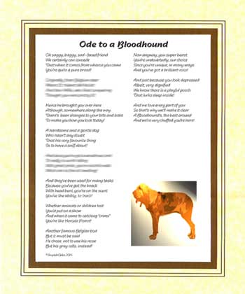 Ode to a Bloodhound