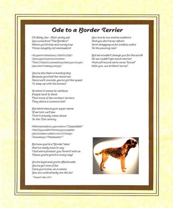 Ode to a Border Terrier