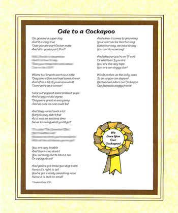 Ode to a Cockapoo