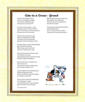 Ode to a Cross Breed