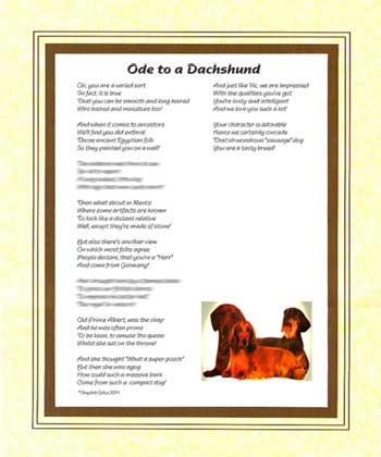Ode to a Dachshund