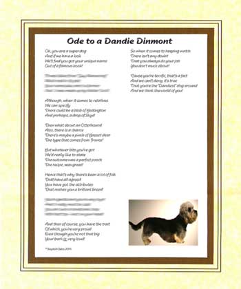 Ode to a Dandie Dinmont