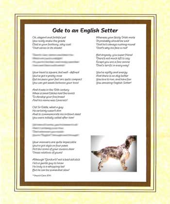Ode to an English Setter