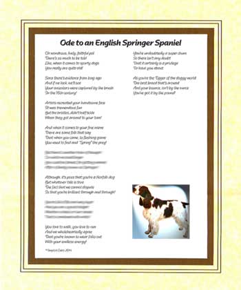 Ode to an English Springer Spaniel