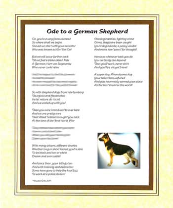 Ode to a German Shepherd (Alsatian)