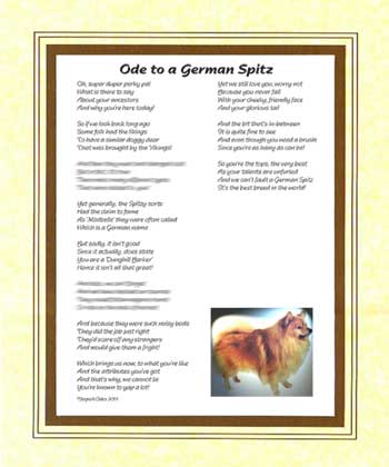 Ode to a German Spitz