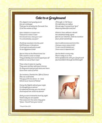 Ode to a Greyhound