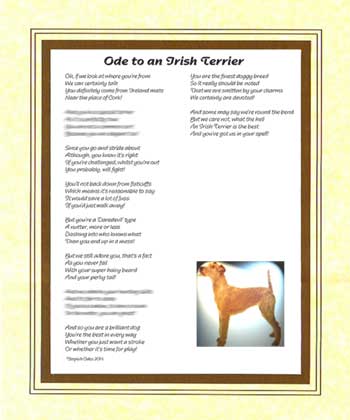 Ode to an Irish Terrier