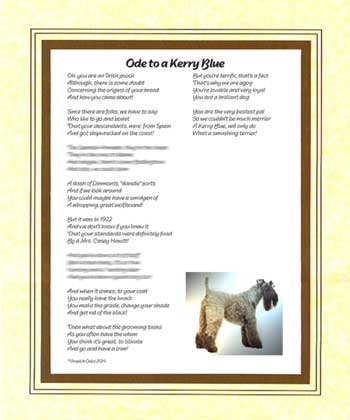 Ode to a Kerry Blue