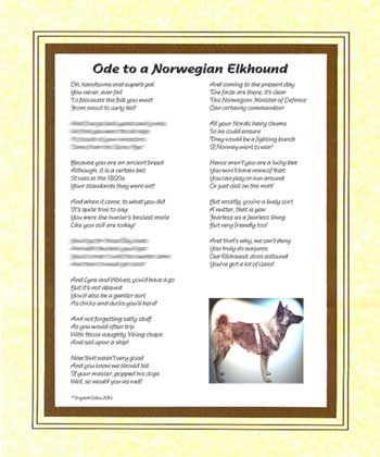 Ode to a Norweigan Elkhound