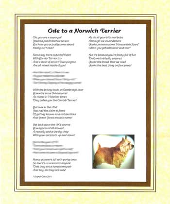 Ode to a Norwich Terrier