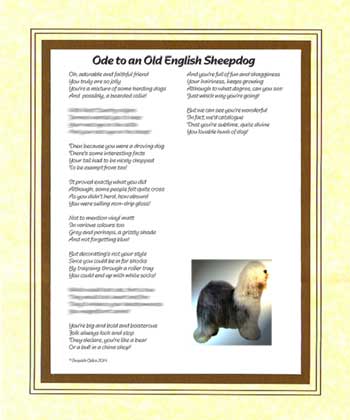 Ode to an Old English Sheepdog