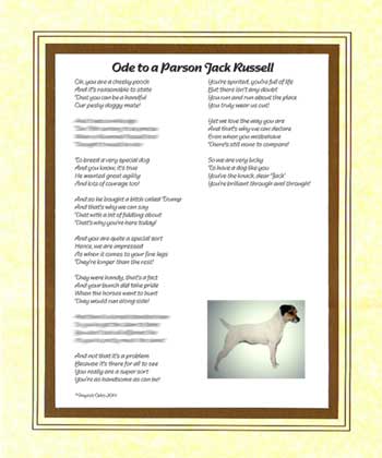 Ode to a Parson Jack Russell
