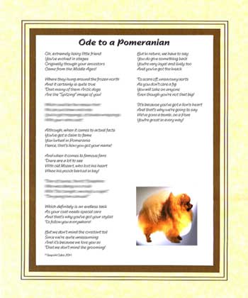 Ode to a Pomeranian