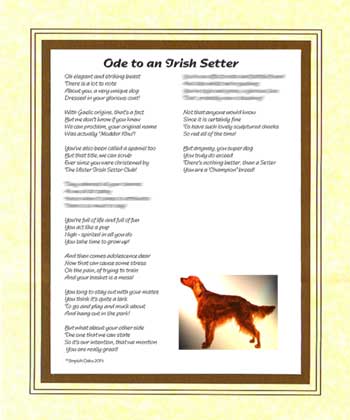 Ode to an Irish Setter