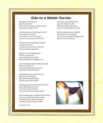 Ode to a Welsh Terrier