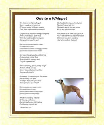 Ode to a Whippet