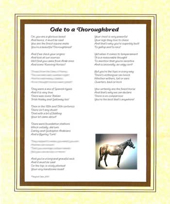 Ode to a Thoroughbred Horse