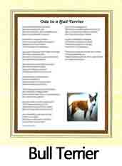 Click Here to View Bull Terrier Ode