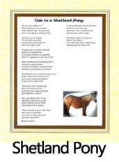 Click to View the Shetland Pony Ode