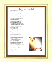 Ode to a Rag Doll Cat