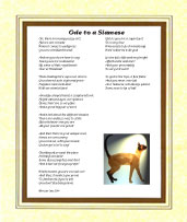 Ode to a Siamese Cat