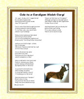Corgi (Cardigan Welsh) - Click here for more details
