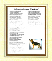 German Shepherd - Click here for more details