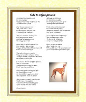 Greyhound - Click here for more details