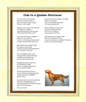 Golden Retriever - Click here for more details