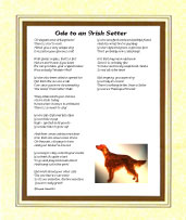 Setter - Irish - Click here for more details