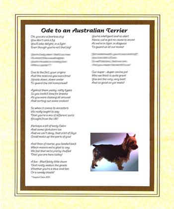 Ode to an Australian Terrier