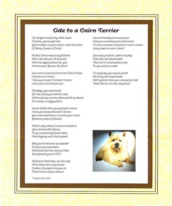 Ode to a Cairn Terrier