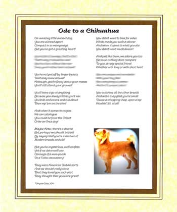Ode to a Chihuahua