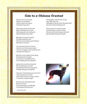 Ode to a Chinese Crested