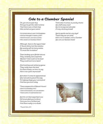 Ode to a Clumber Spaniel