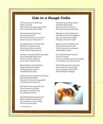 Ode to a Rough Collie