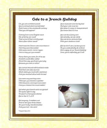 Ode to a French Bulldog