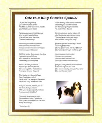 Ode to a King Charles Spaniel