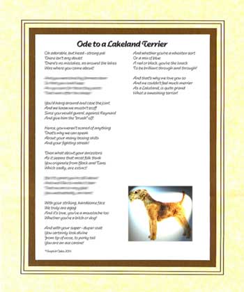 Ode to a Lakeland Terrier