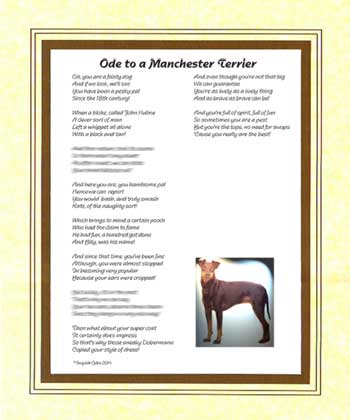Ode to a Manchester Terrier