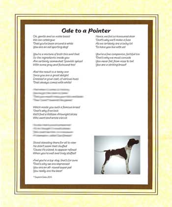 Ode to a Pointer