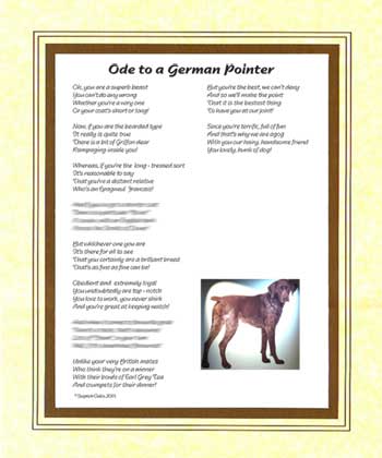 Ode to a German Pointer