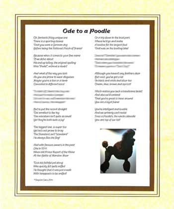 Ode to a Poodle