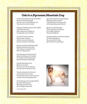 Ode to a Pyrenean Mountain Dog