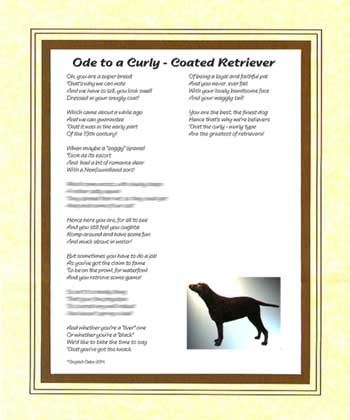 Ode to a Curly Coated Retriever