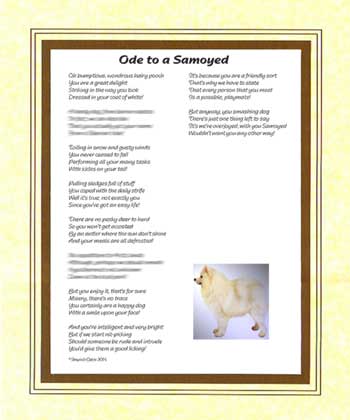 Ode to a Samoyed